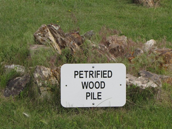 Badlands Petrified Gardens