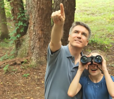 Birding