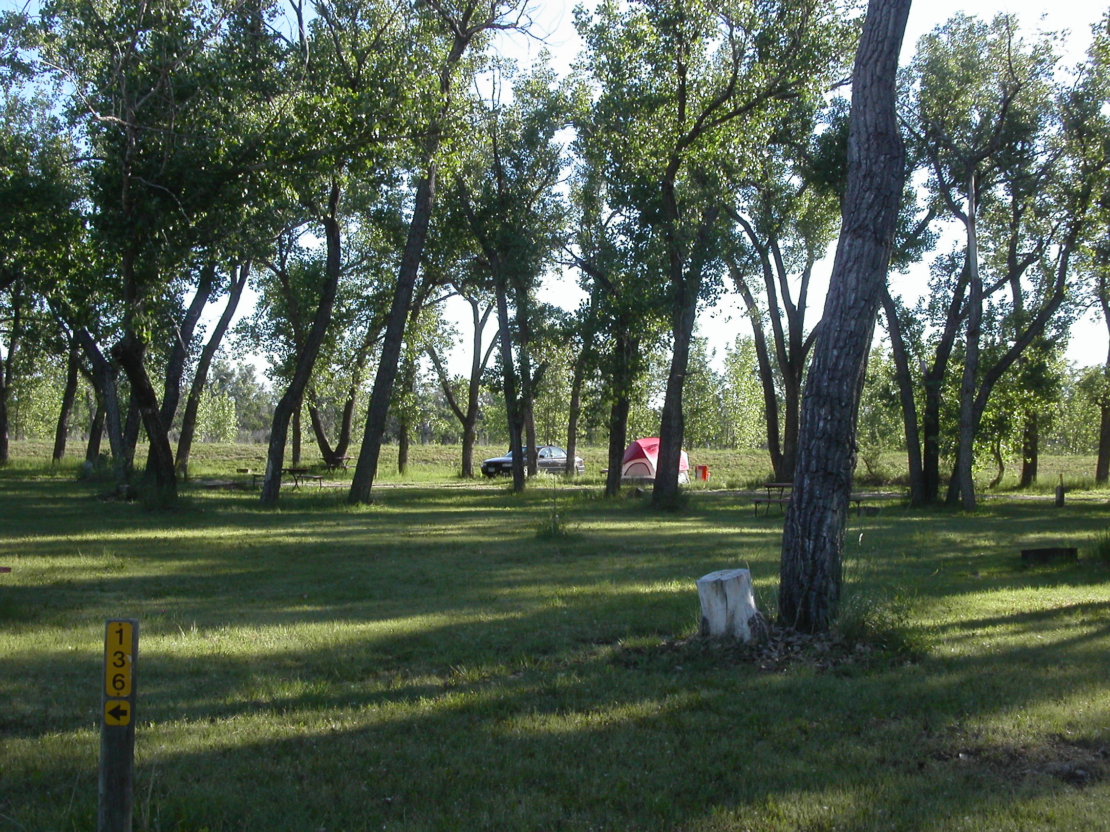 Tent site basic grass s136