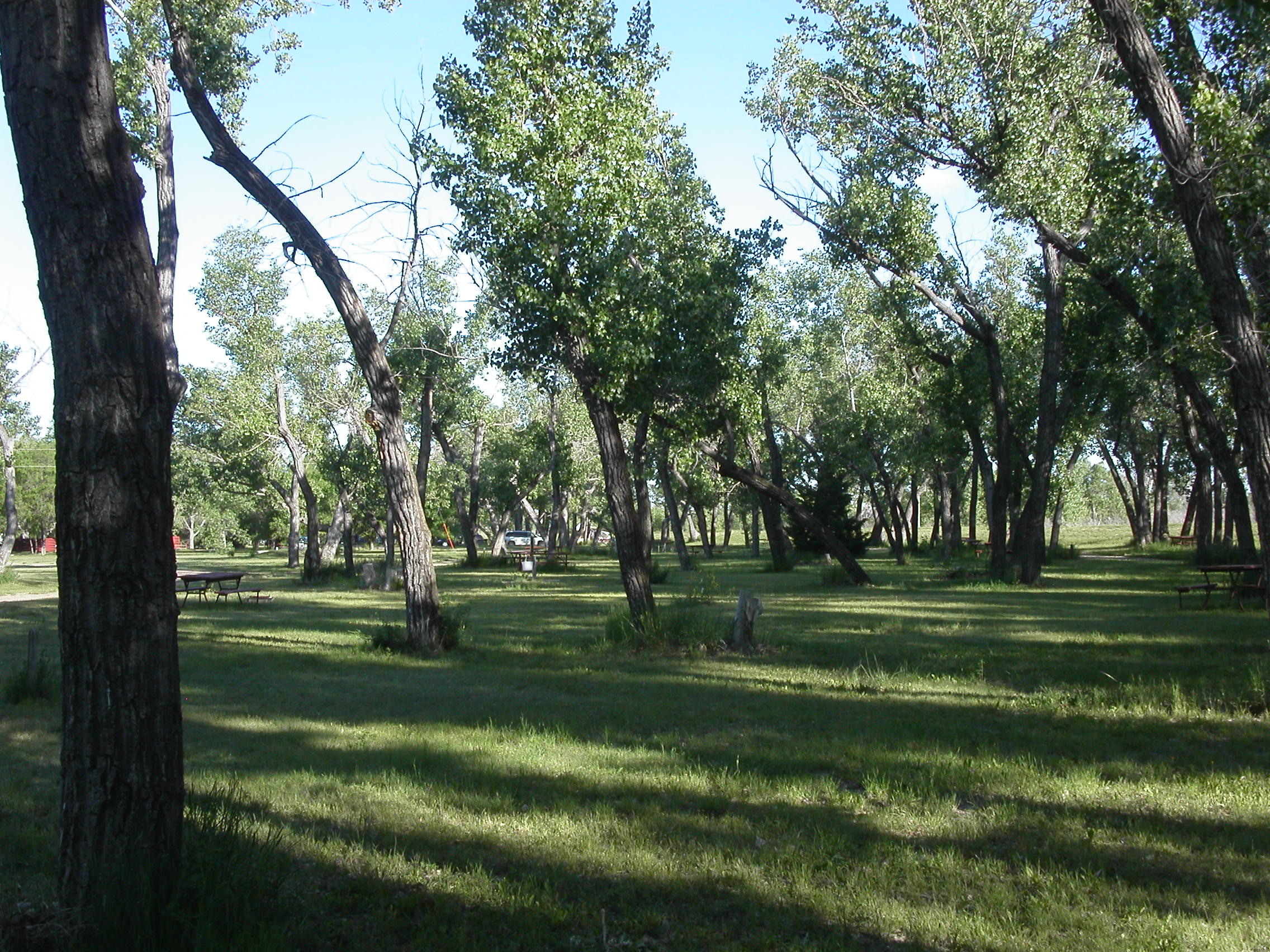 Tent site grass basic by levee