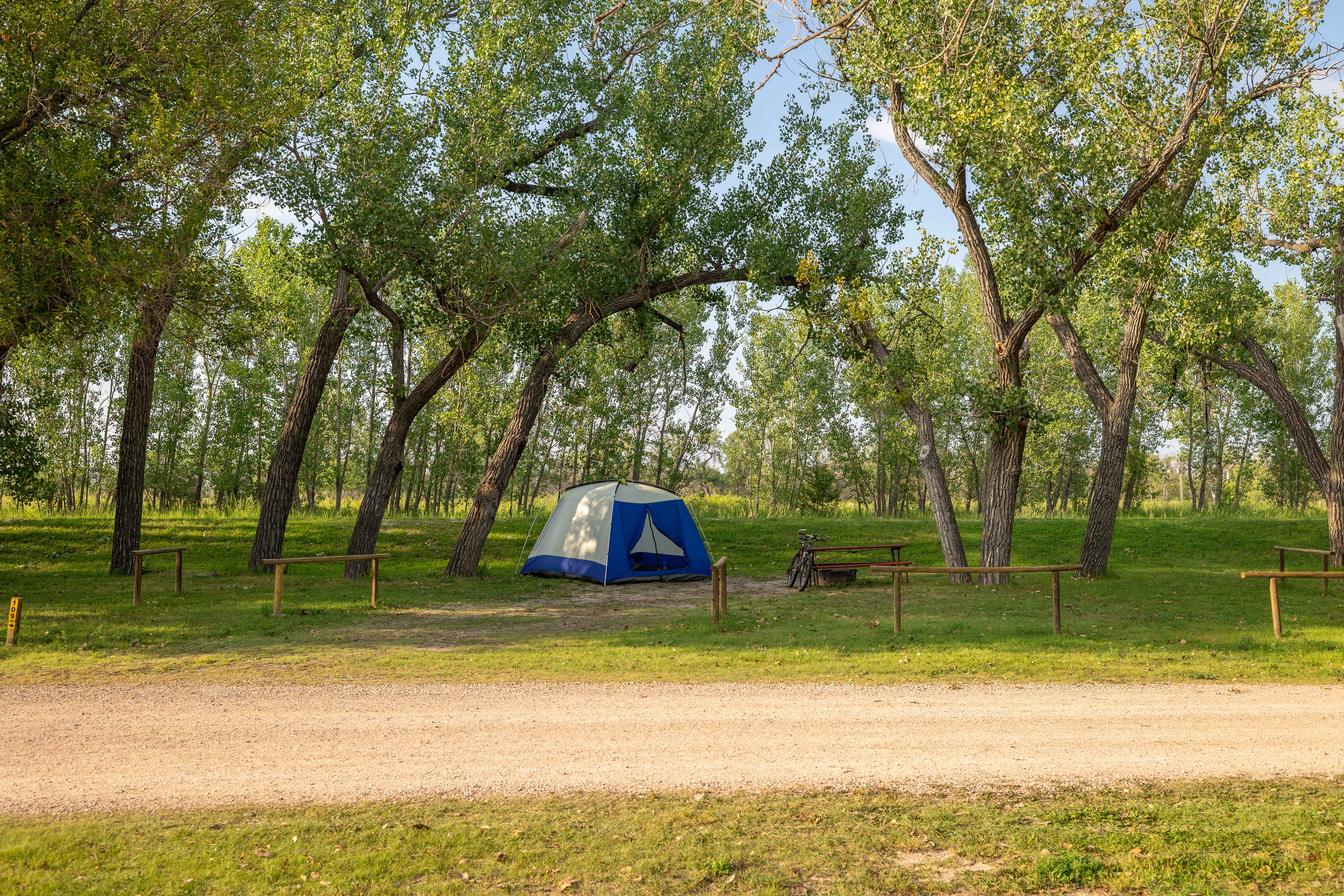 Primitive Tent