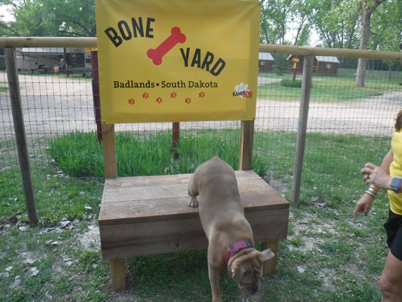 Welcome to the Badlands / White River KOA Holiday