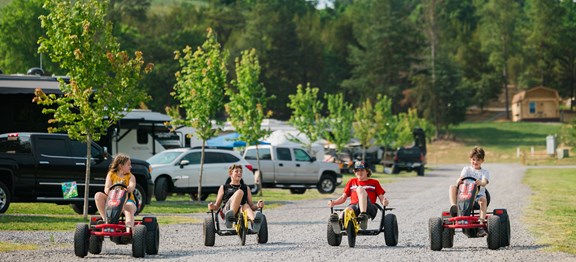 Peddle Carts