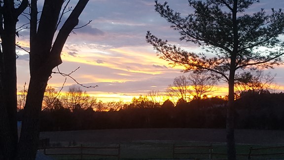 March Evening in Baileyton TN