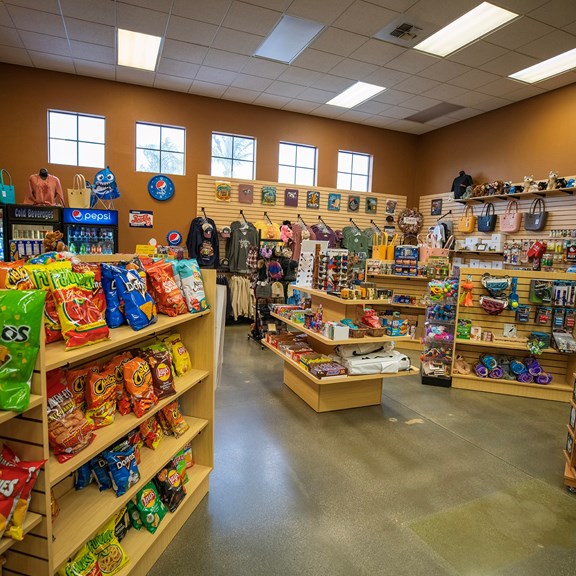 Camp Store