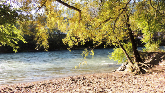 Kern River County Park