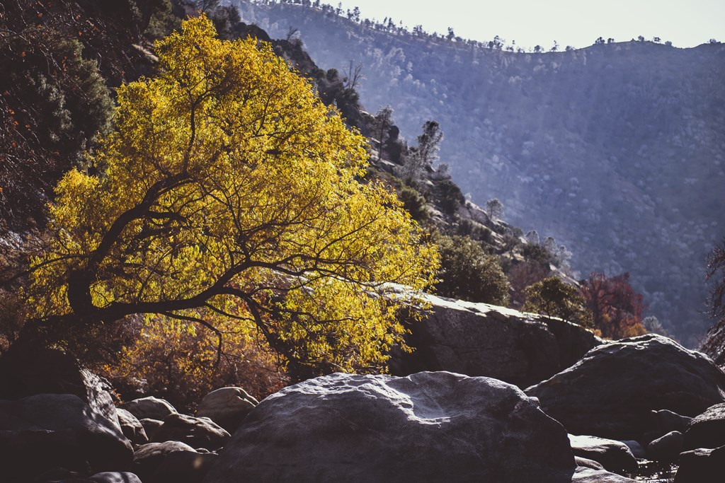 10 Fun Things to Do in Bakersfield, CA