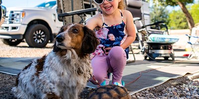 TOP TIPS FOR CAMPING WITH YOUR PET