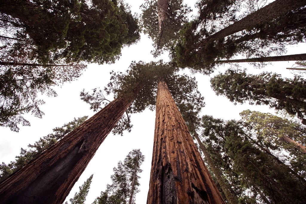 Best Activities while Camping in Bakersfield, CA!