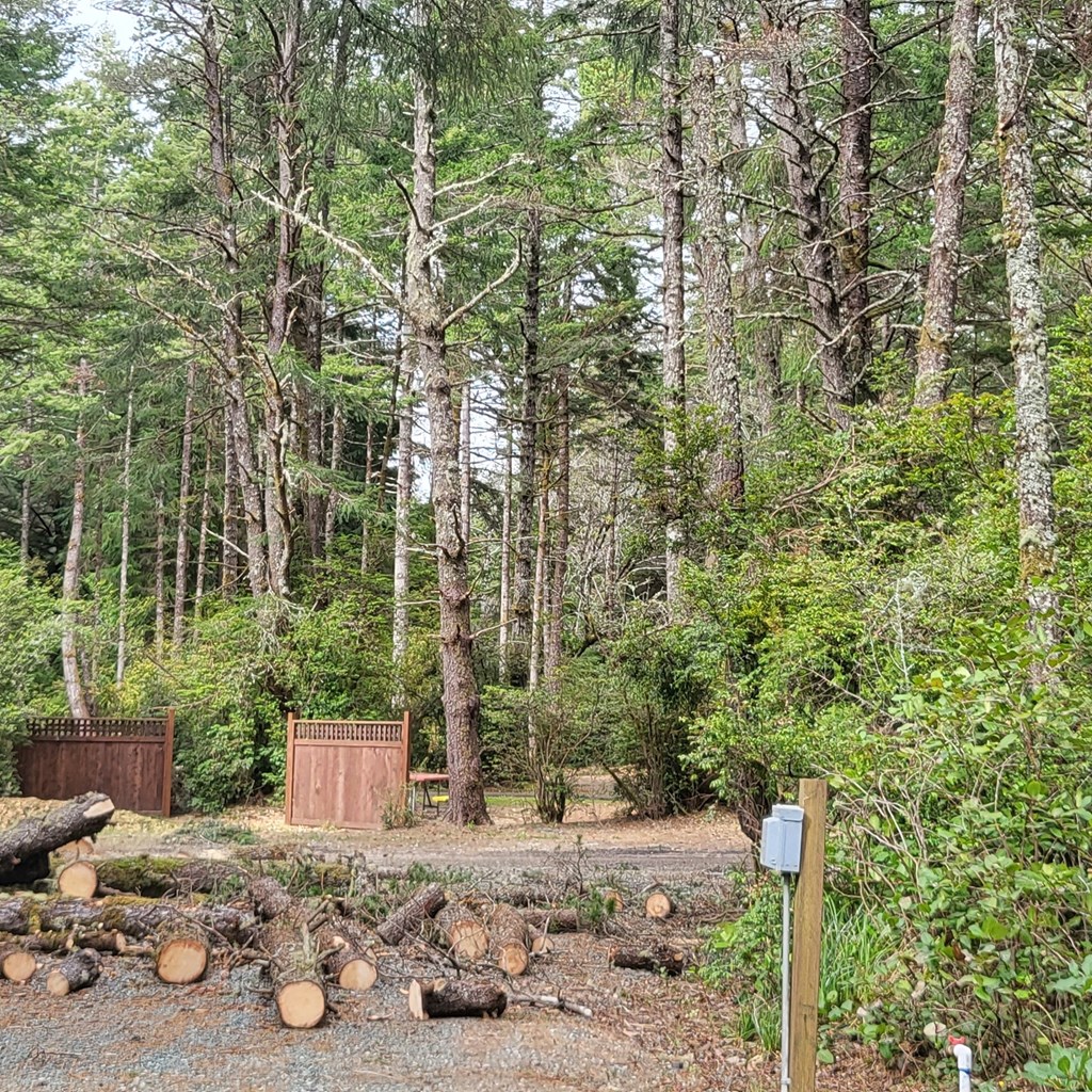 Trimming Trees