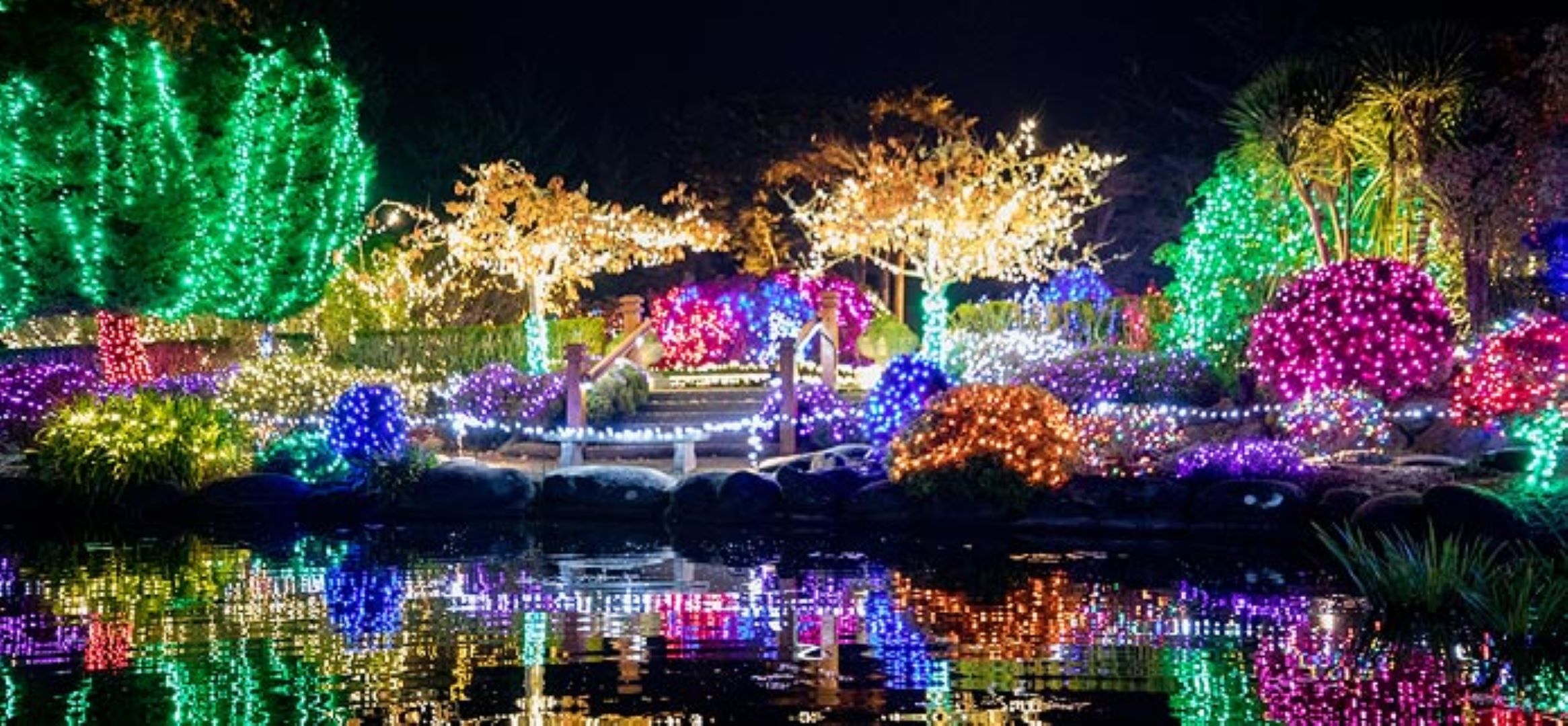 Holiday Lights at Shore Acres Photo