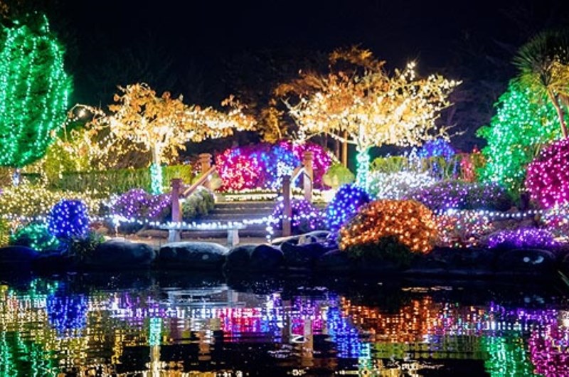 Holiday Lights at Shore Acres Photo