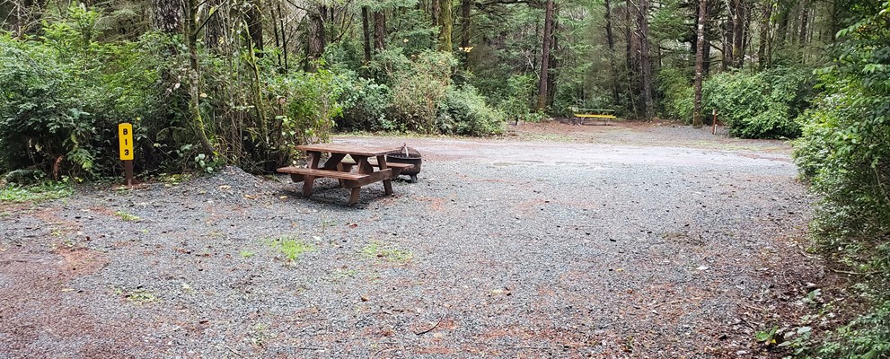 MULTI USE TENT, PULL THRU, OVER FLOW PARKING