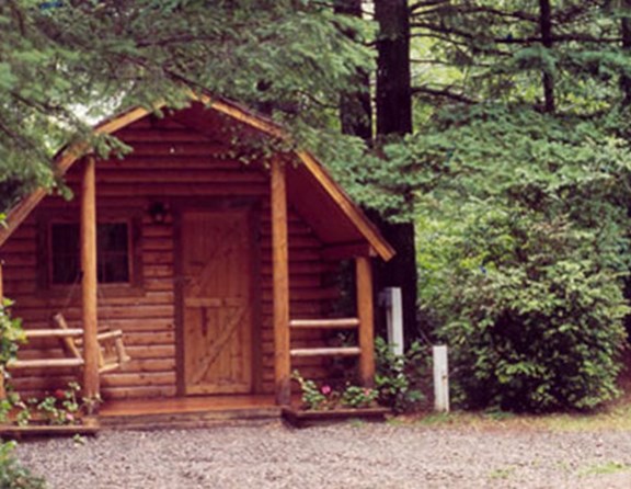 Our kozy kabins are nestled in the forest for s'more family fun