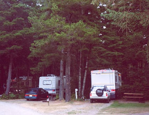 80 foot long pull thru sites but still nestled in the trees.  Enjoy "camping" the way it USED to be (but with wifi, television, a pool, a hot tub, laundry....)