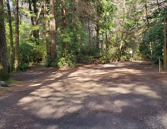 One of our 30 tent sites waiting for a happy camper to pitch a tent!