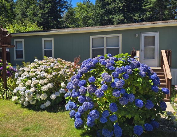 Looking for all the comforts of home on the Oregon Coast? The spacious vacation rental at Bandon / Port Orford KOA Journey features a comfortable three-bedroom, two-bathroom layout. Tucked into our quiet forest resort, it provides the perfect, private sanctuary for families to relax after a day of coastal adventures.