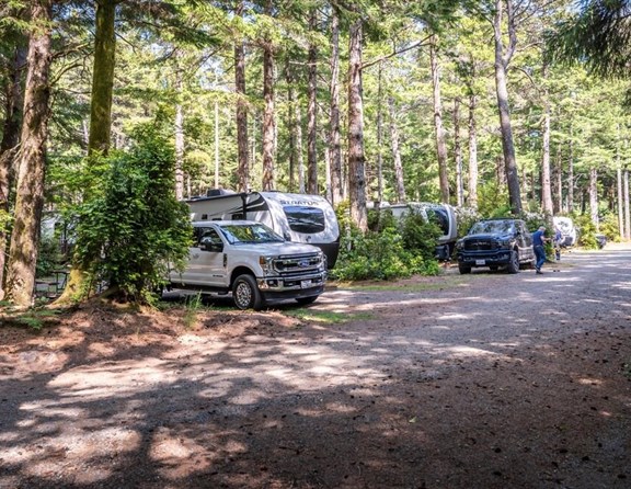 Looking for a peaceful, scenic place to park your rig on the Oregon Coast? The spacious RV sites at Bandon / Port Orford KOA Journey are nestled deep under a beautiful canopy of mature trees. Enjoy excellent privacy, plenty of breathing room, and a tranquil forest setting to unwind in nature.