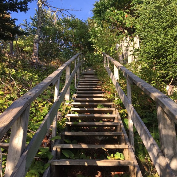 Blue Hill / Castine / Stonington