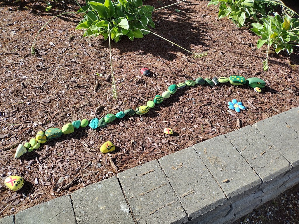 Rocky The KOA Constrictor!