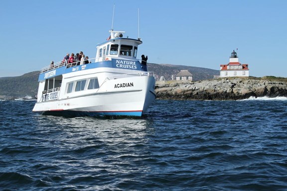 Boat Tours & Coastal Cruises