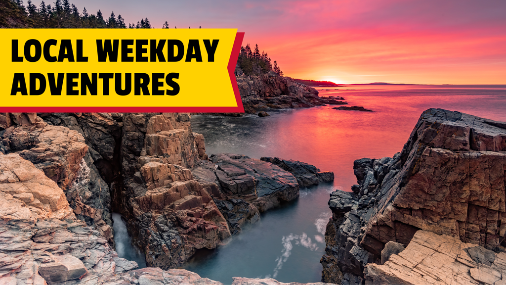 Local Weekday Adventures Near Bar Harbor