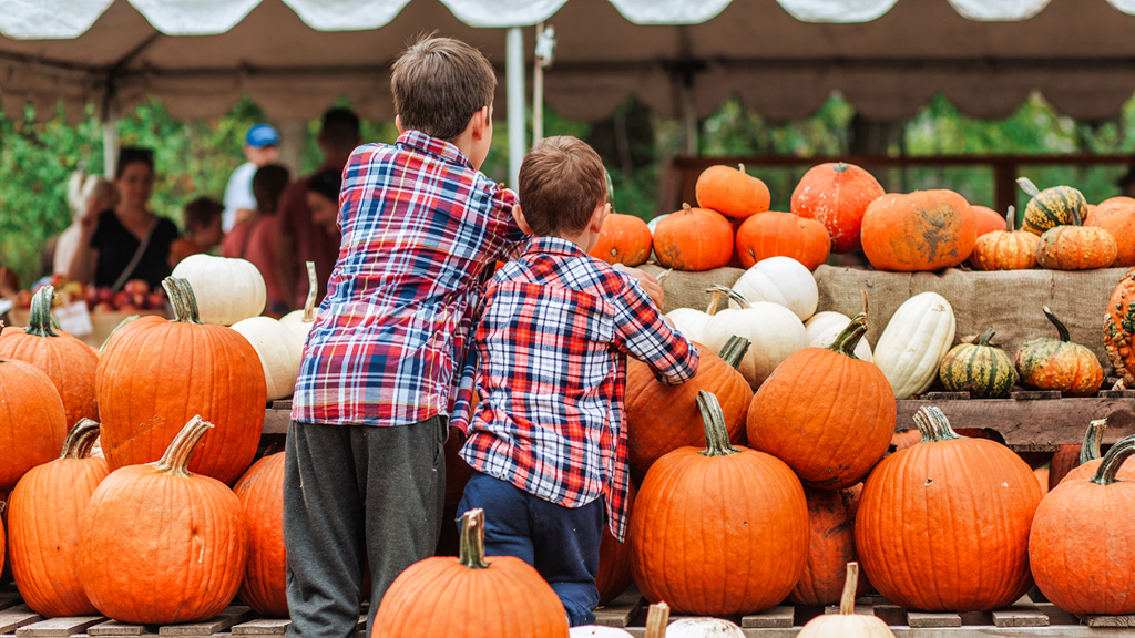 Halloween Events in Bar Harbor, Maine: A Seaside Celebration