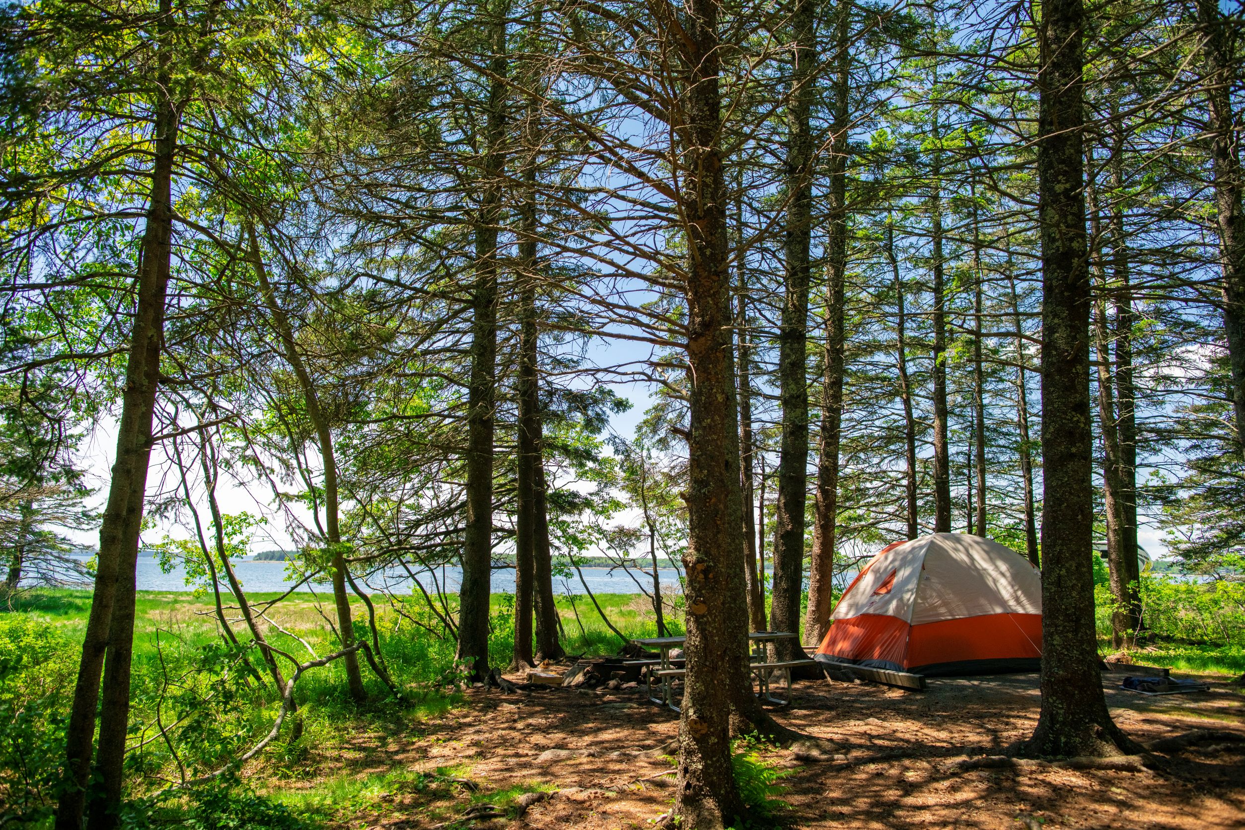 Lets Go Tenting!