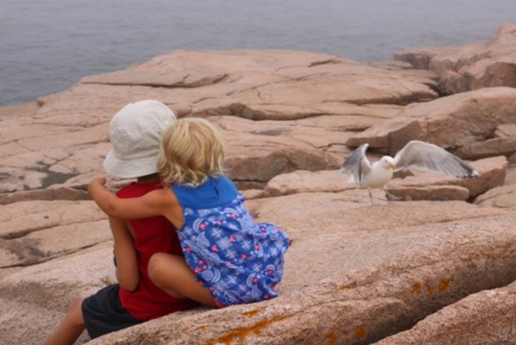 Making Memories