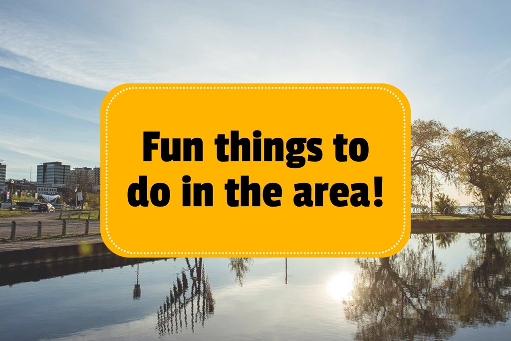 Fun things to do in the area!