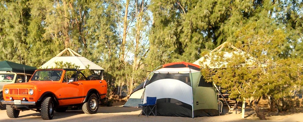 Large tent sites with ample landscaping. Great for large groups and reunions.