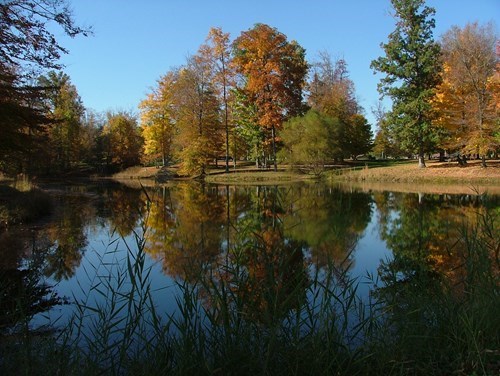 Come and Visit us at Batesville KOA Journey