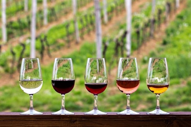 Holtkamp winery Wine and fire works Photo