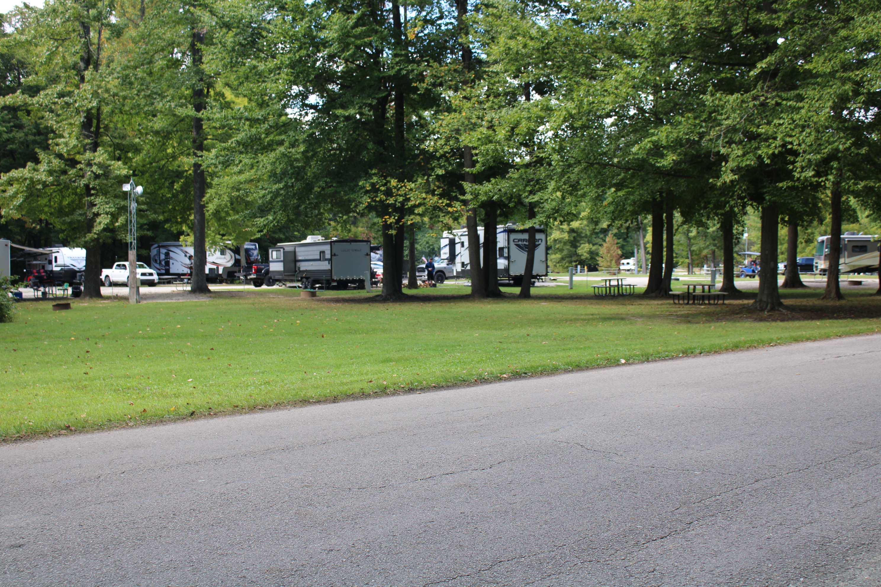 large grassy area behind Site #1-5