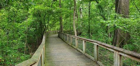 Bluebonnet Swamp Nature Center