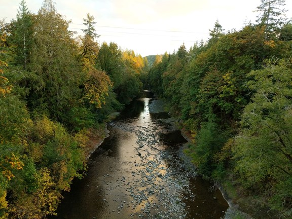 Willapa Hills Trail