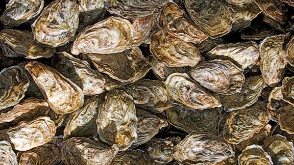 Seafood