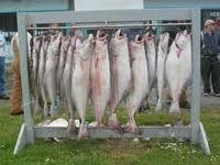 Deep Sea Fishing