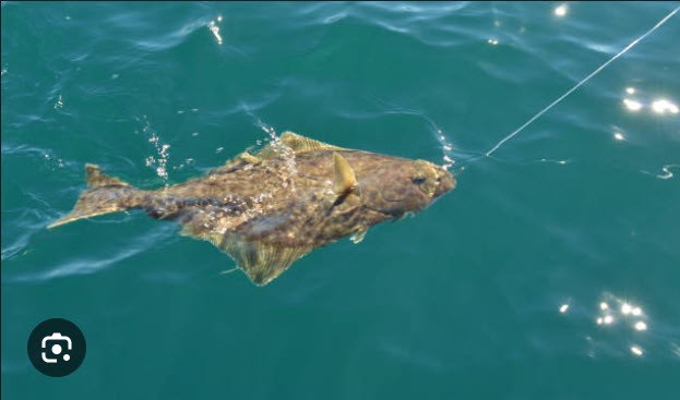 Ocean Fishing Near Bay Center KOA