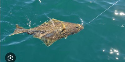 Ocean Fishing Near Bay Center KOA