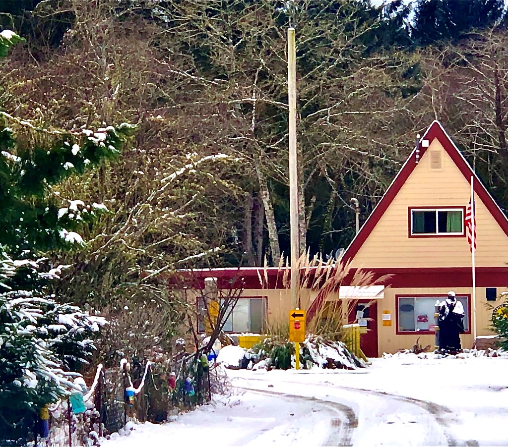 Snow at Bay Center