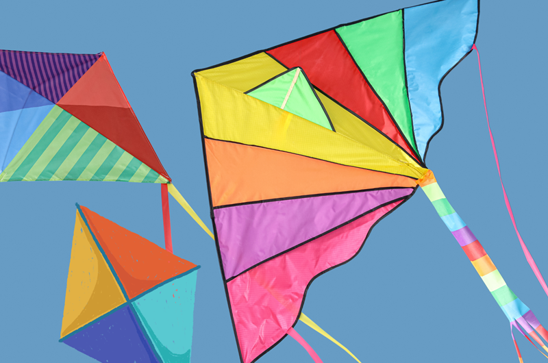 Washington State International Kite Festival Photo