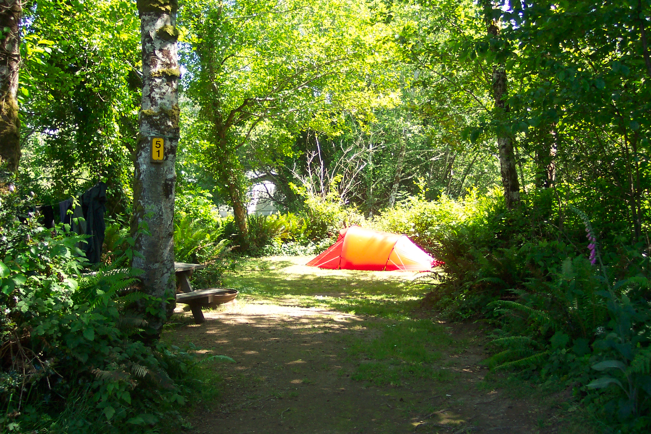 Tent site with electric