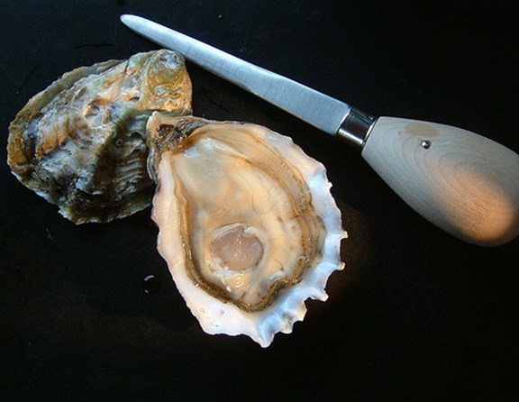 Several Seafood retailers available close by.