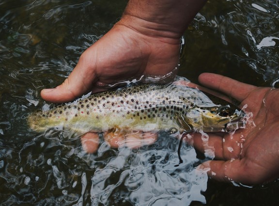 Fishing in Mansitee County