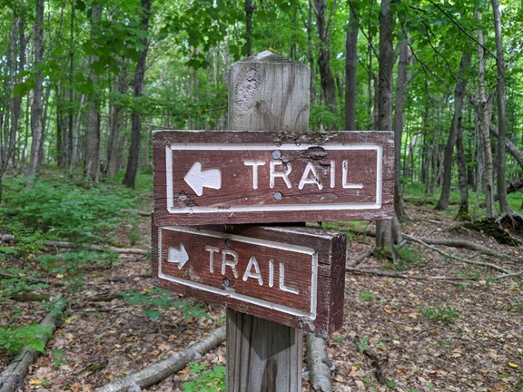 Take to the Trails