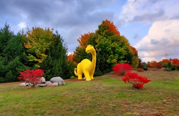 Bear Lake / Manistee KOA Holiday Photo