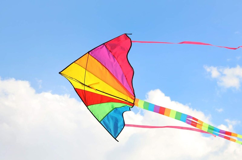 Let's Go Fly a Kite Photo