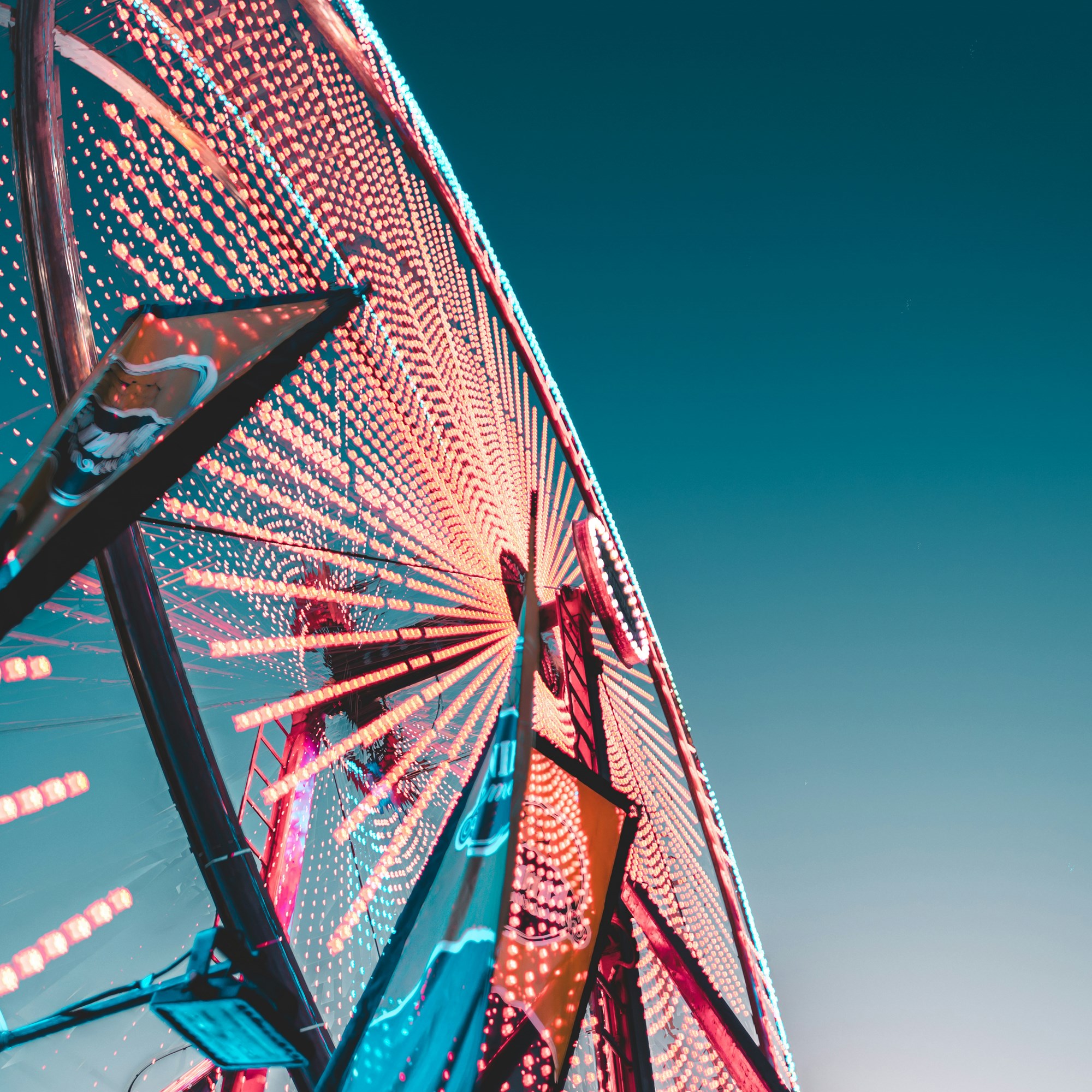 Northwest Michigan Fair Photo