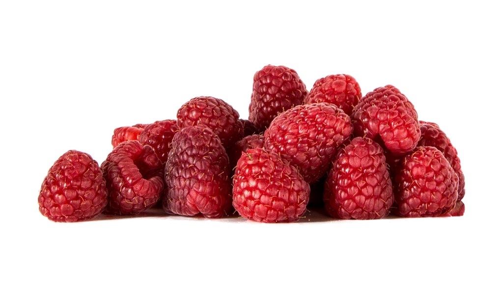 Bear Lake Raspberry Days